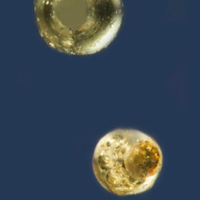 micro meteorite 3D Stereo Pair Edge-3D microscope