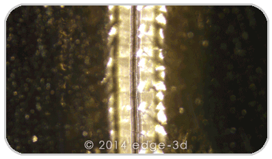 gold plate focus levels ordinary microscope