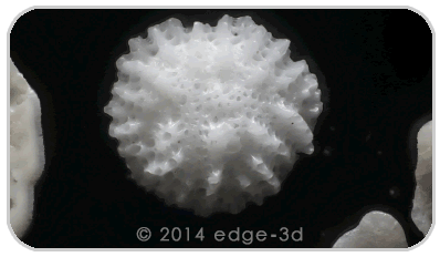 sand motion parallax 3D with Edge microscope